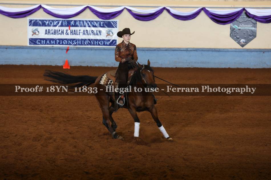 Proof 18YN_11833