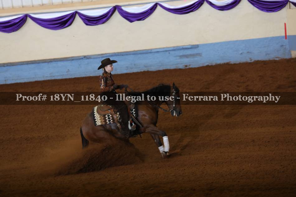Proof 18YN_11840