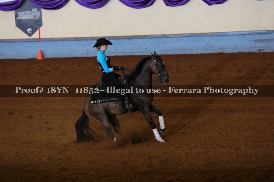 Proof 18YN_11852