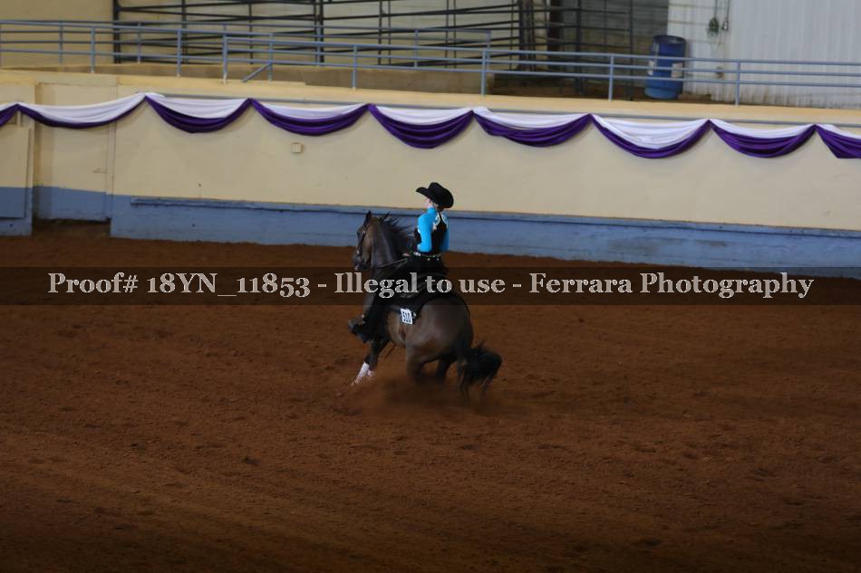Proof 18YN_11853