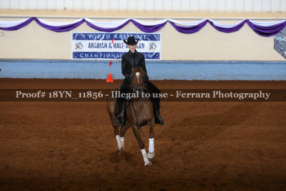 Proof 18YN_11856