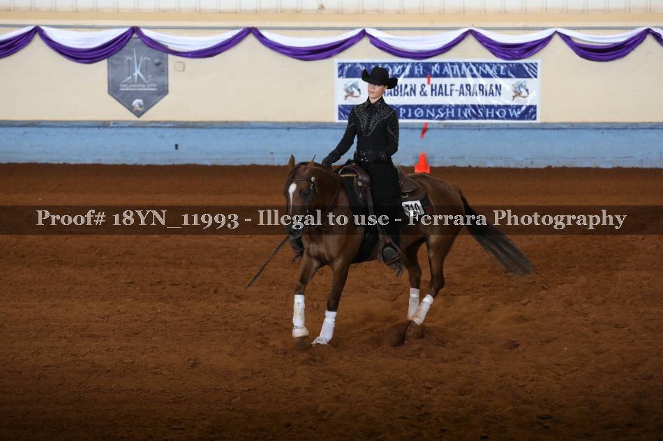 Proof 18YN_11993