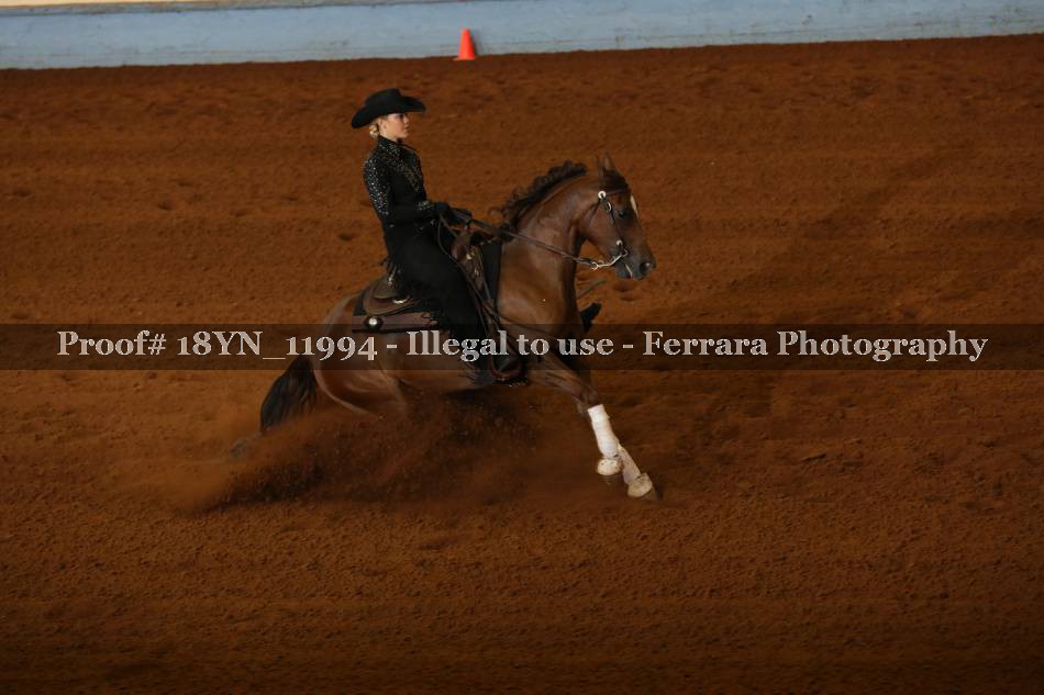 Proof 18YN_11994