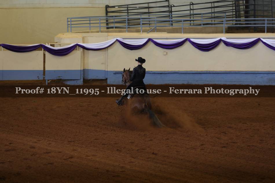 Proof 18YN_11995