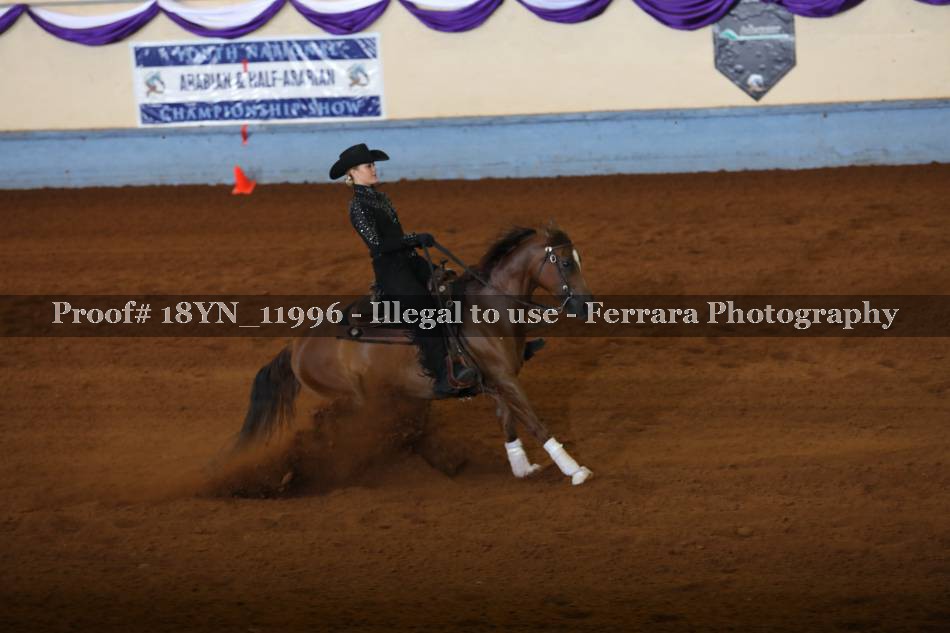 Proof 18YN_11996