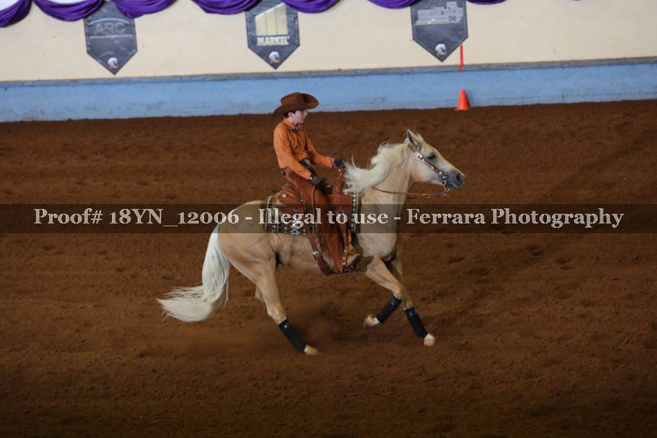 Proof 18YN_12006