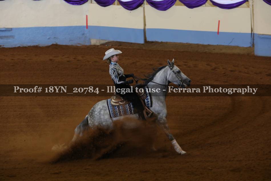 Proof 18YN_20784