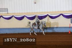 18YN_20802 proof