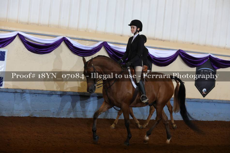 Proof 18YN_07084