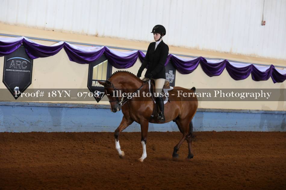 Proof 18YN_07087
