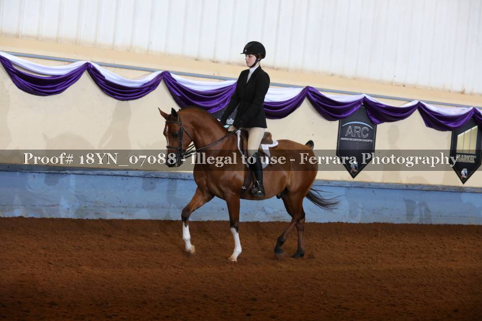 Proof 18YN_07088