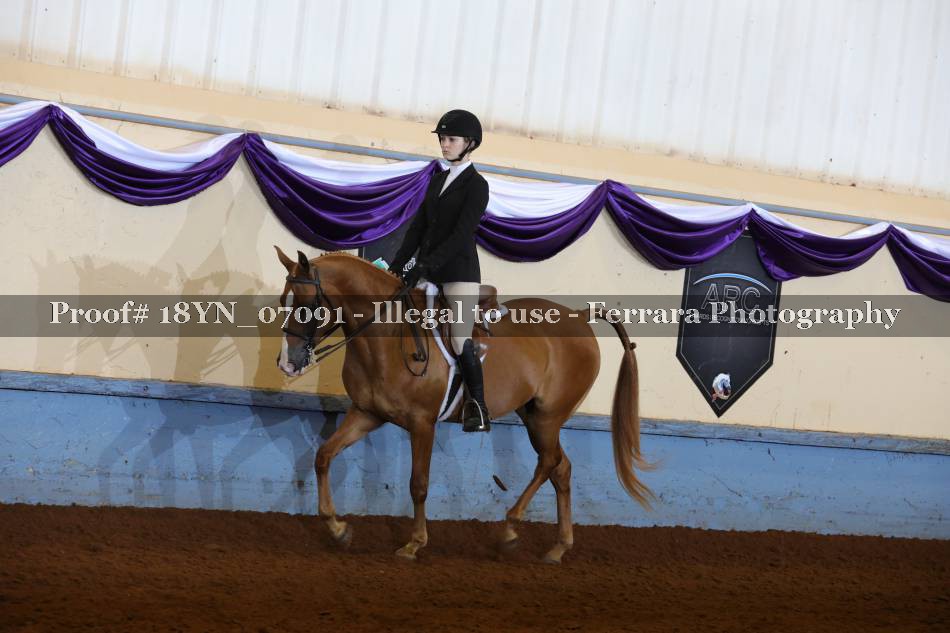 Proof 18YN_07091