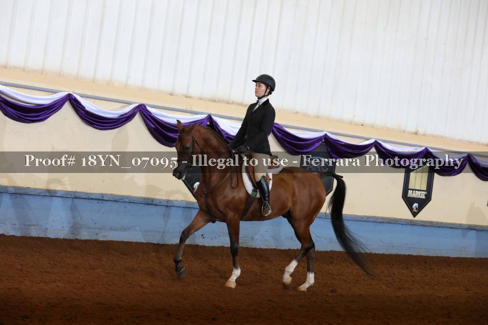 Proof 18YN_07095