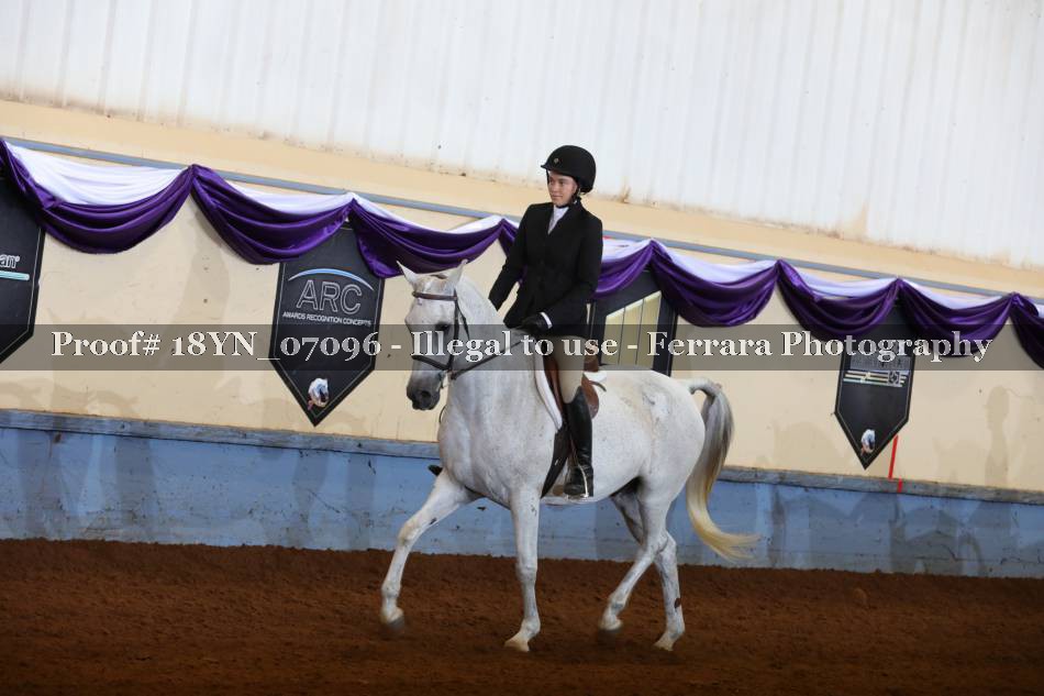 Proof 18YN_07096