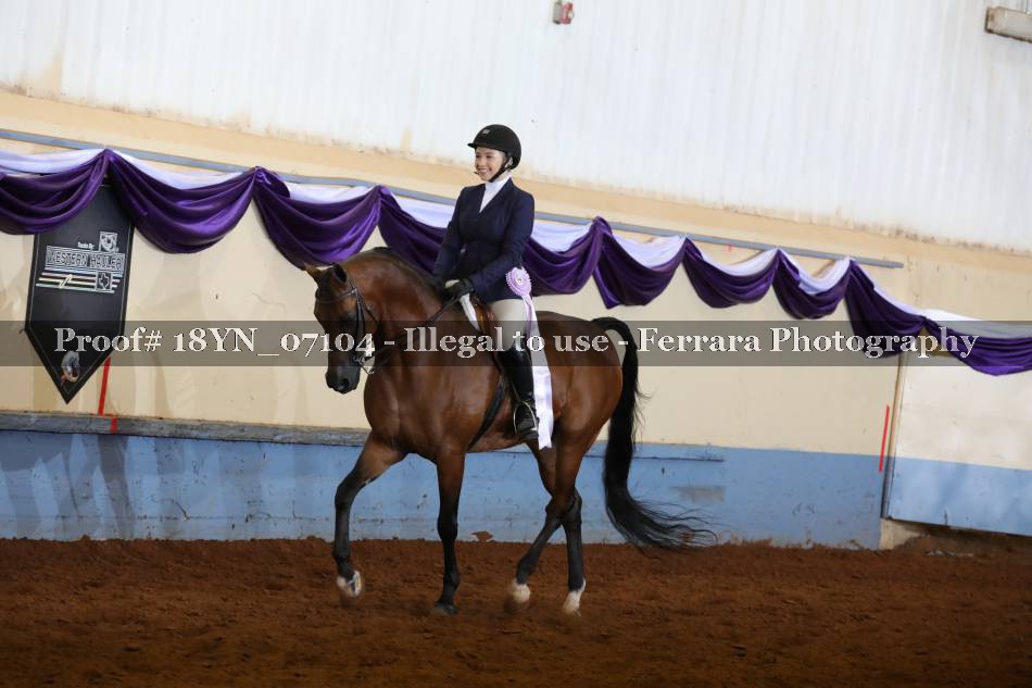 Proof 18YN_07104
