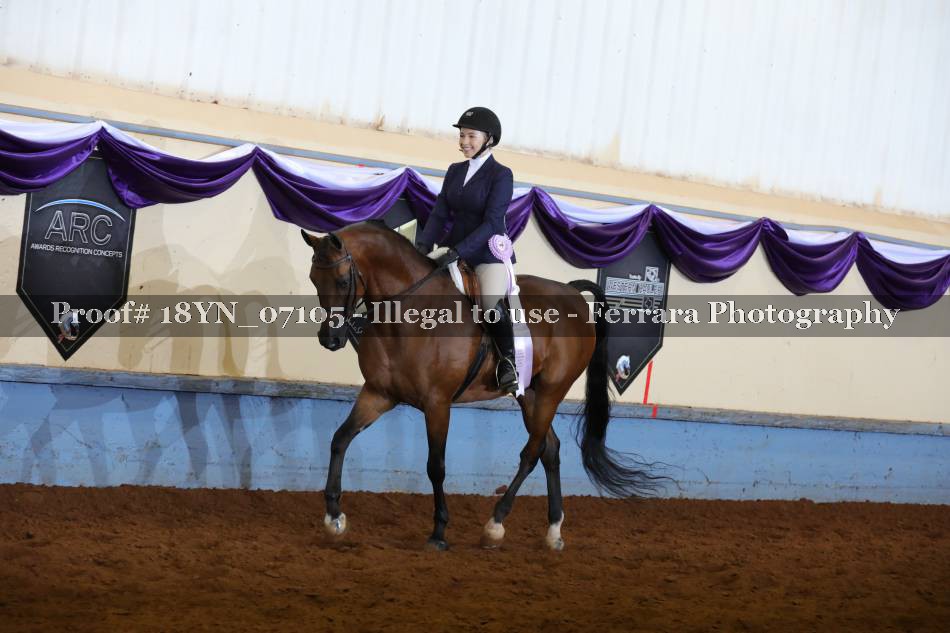 Proof 18YN_07105