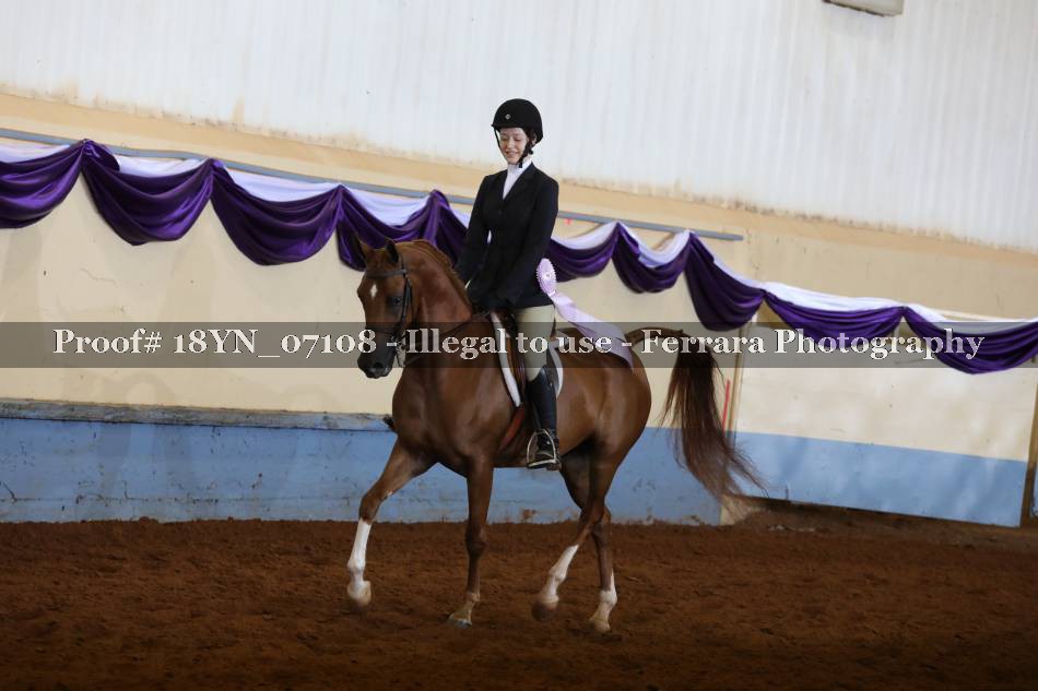Proof 18YN_07108