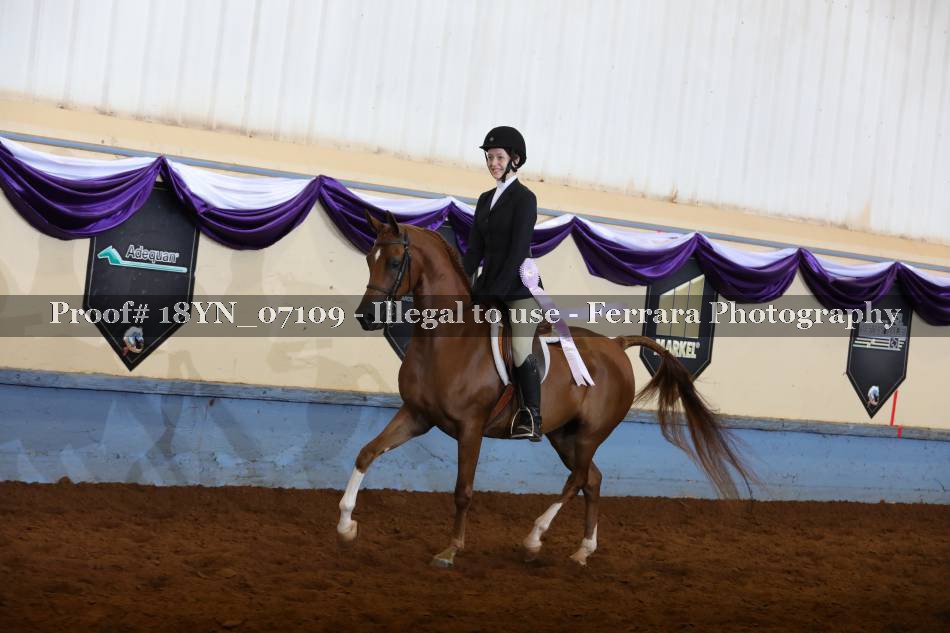 Proof 18YN_07109