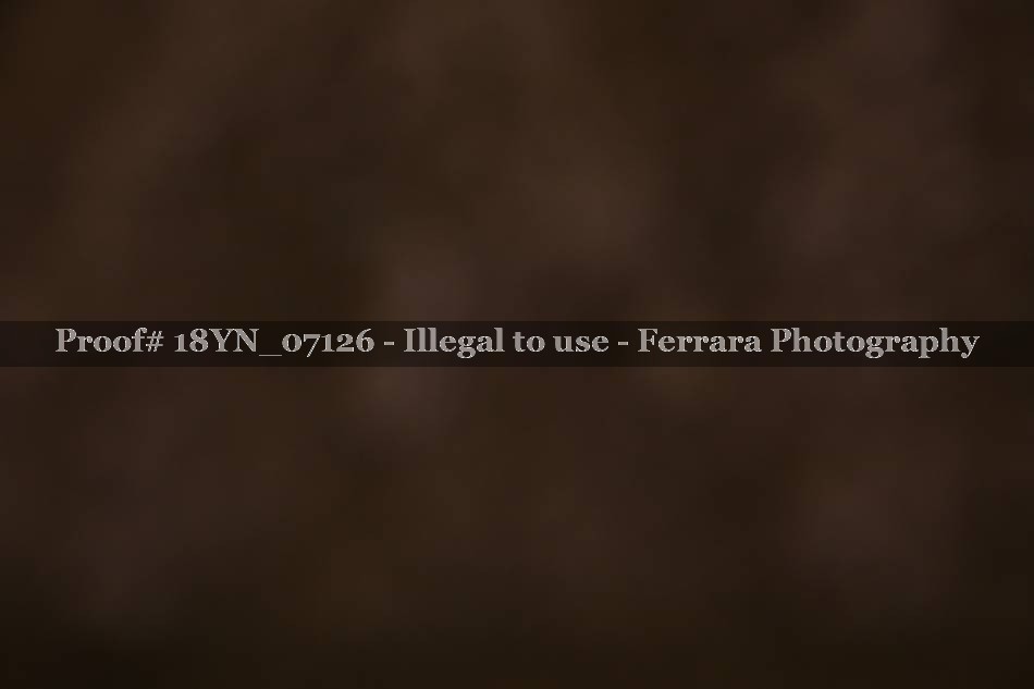 Proof 18YN_07126