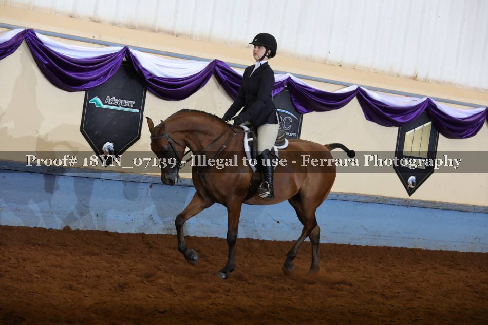 Proof 18YN_07139