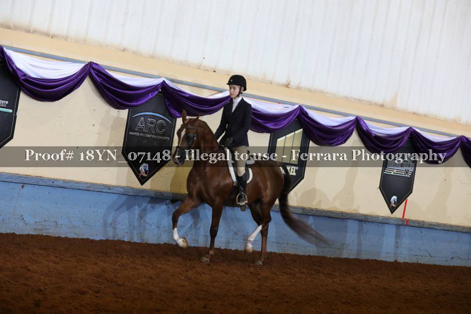 Proof 18YN_07148