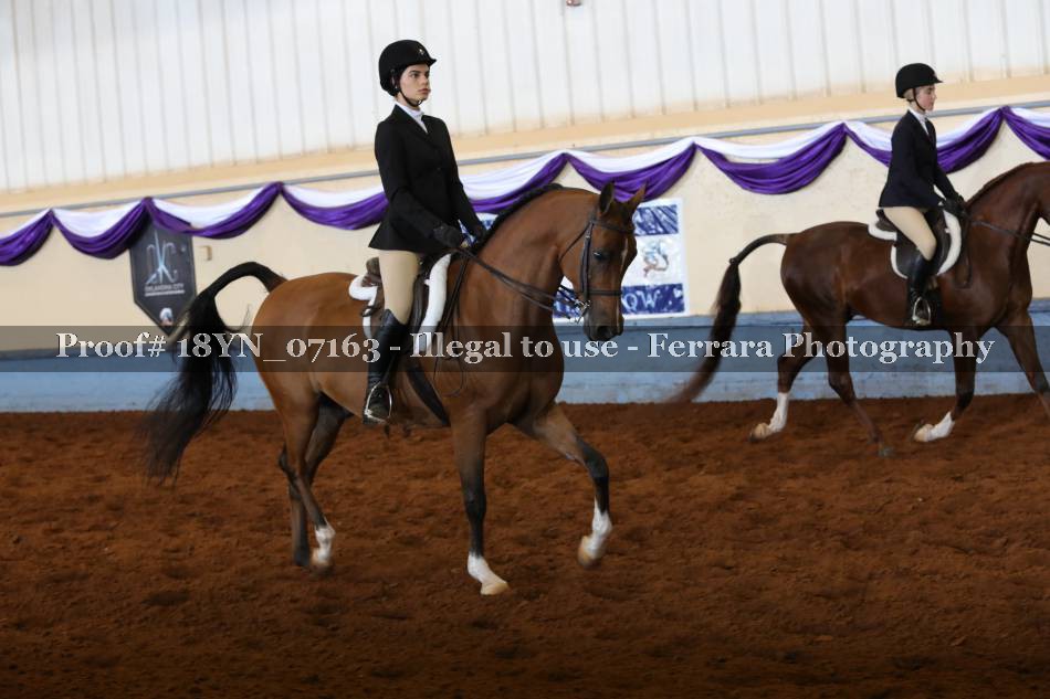 Proof 18YN_07163