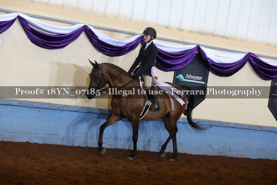 Proof 18YN_07185