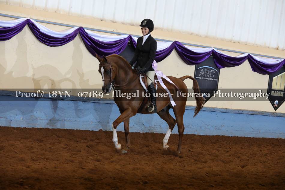 Proof 18YN_07189