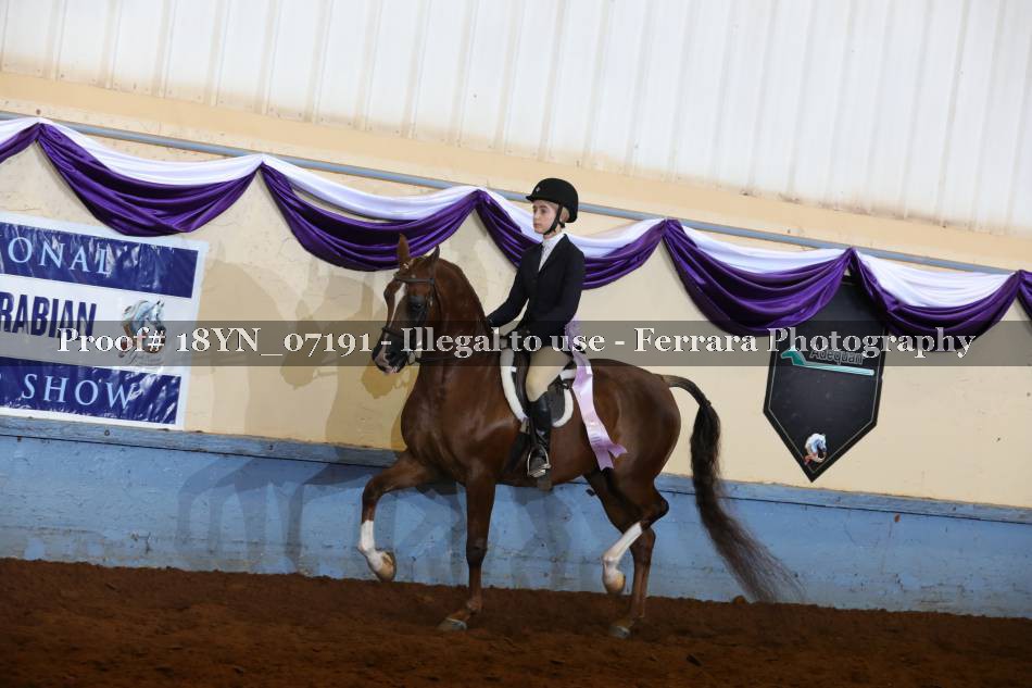Proof 18YN_07191