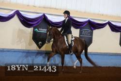 18YN_21443 proof