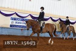 18YN_15693 proof