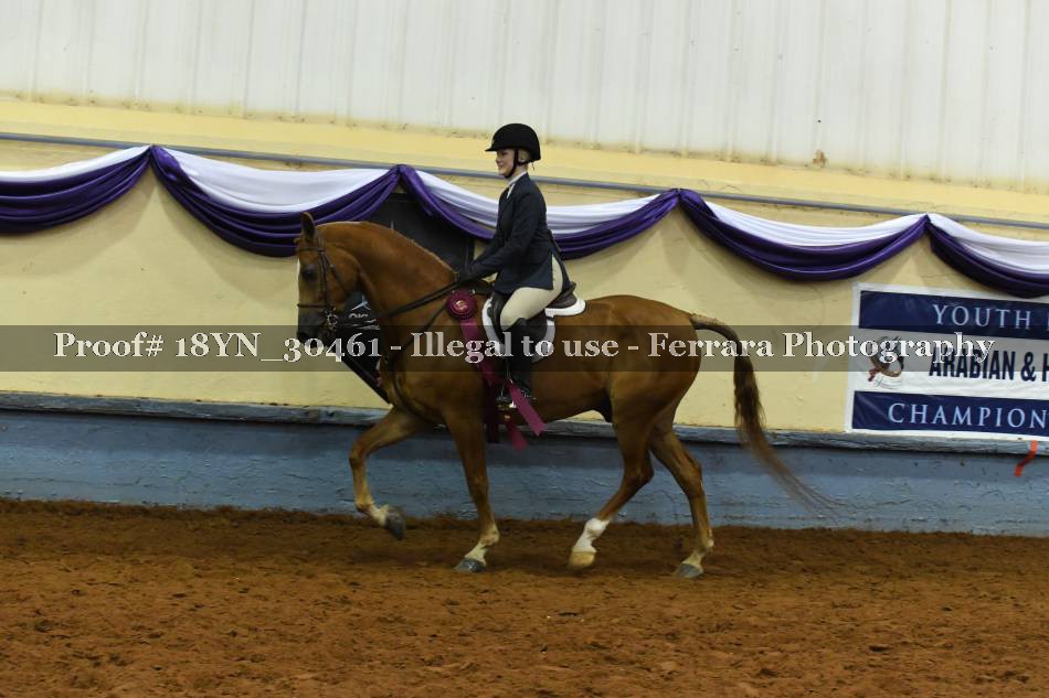 Proof 18YN_30461