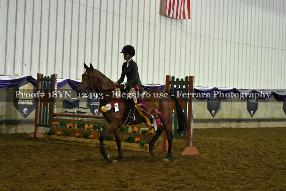 Proof 18YN_12493