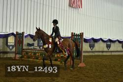 18YN_12493 proof