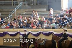 18YN_13493 proof
