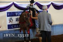 18YN_13512 proof