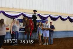 18YN_13519 proof