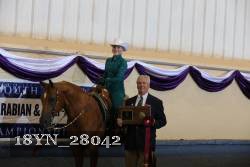 18YN_28042 proof