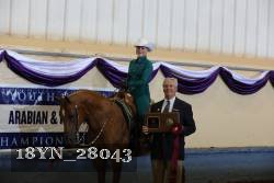 18YN_28043 proof