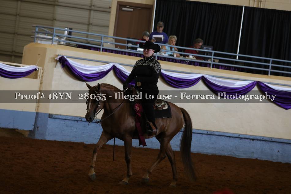 Proof 18YN_28055