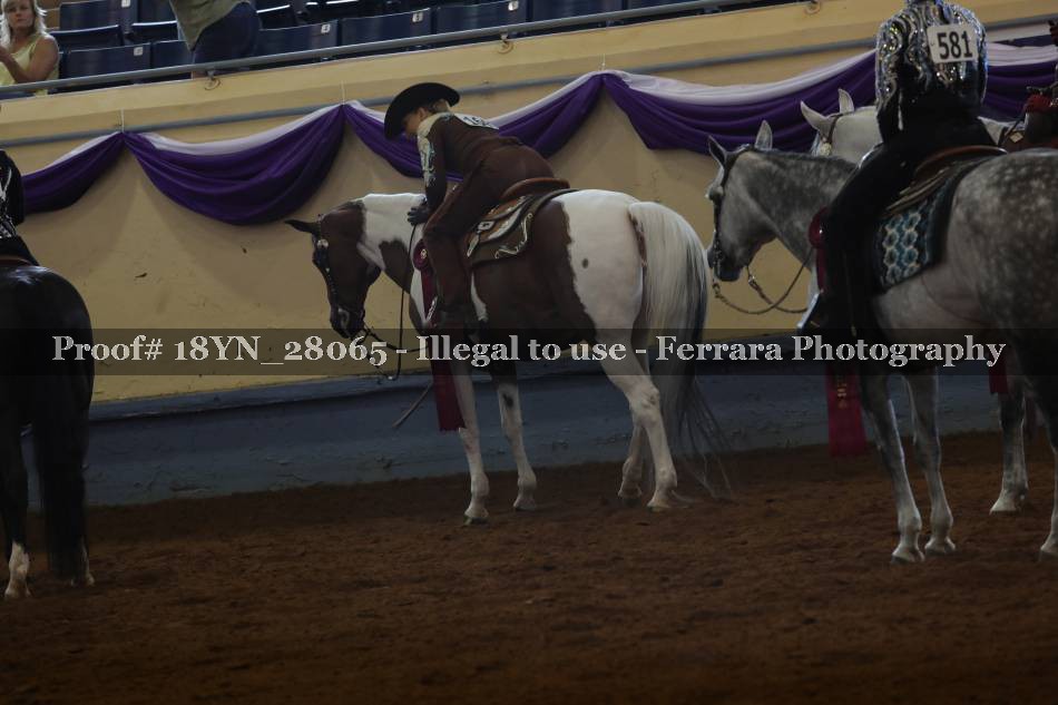 Proof 18YN_28065