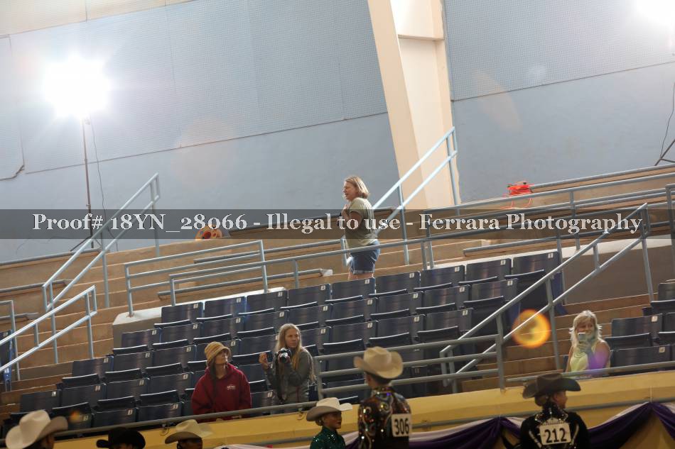 Proof 18YN_28066