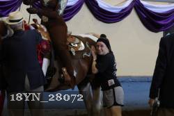 18YN_28072 proof