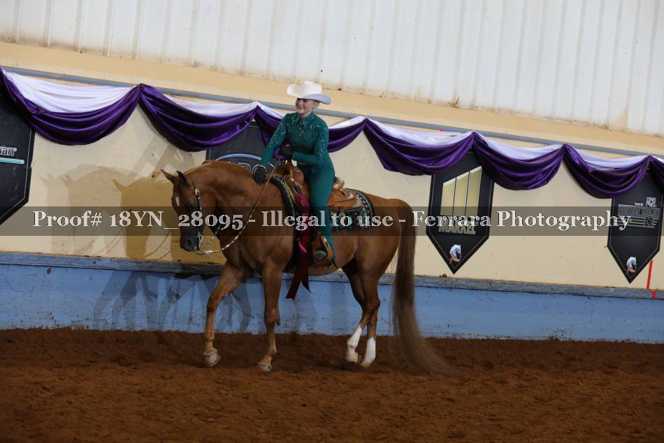 Proof 18YN_28095