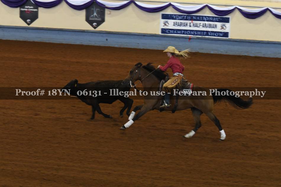 Proof 18YN_06131