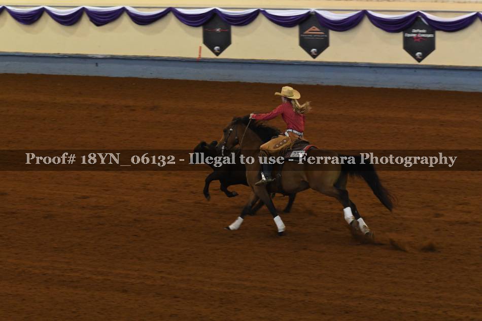 Proof 18YN_06132