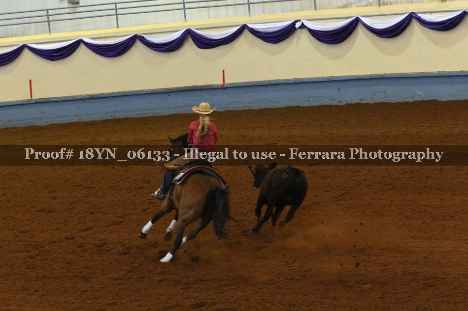 Proof 18YN_06133
