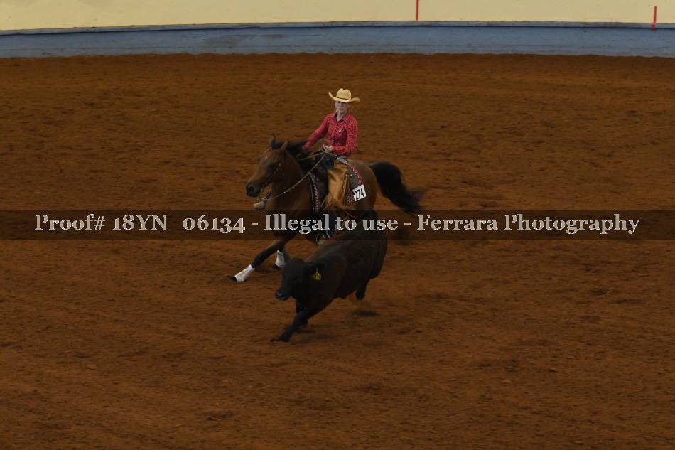 Proof 18YN_06134