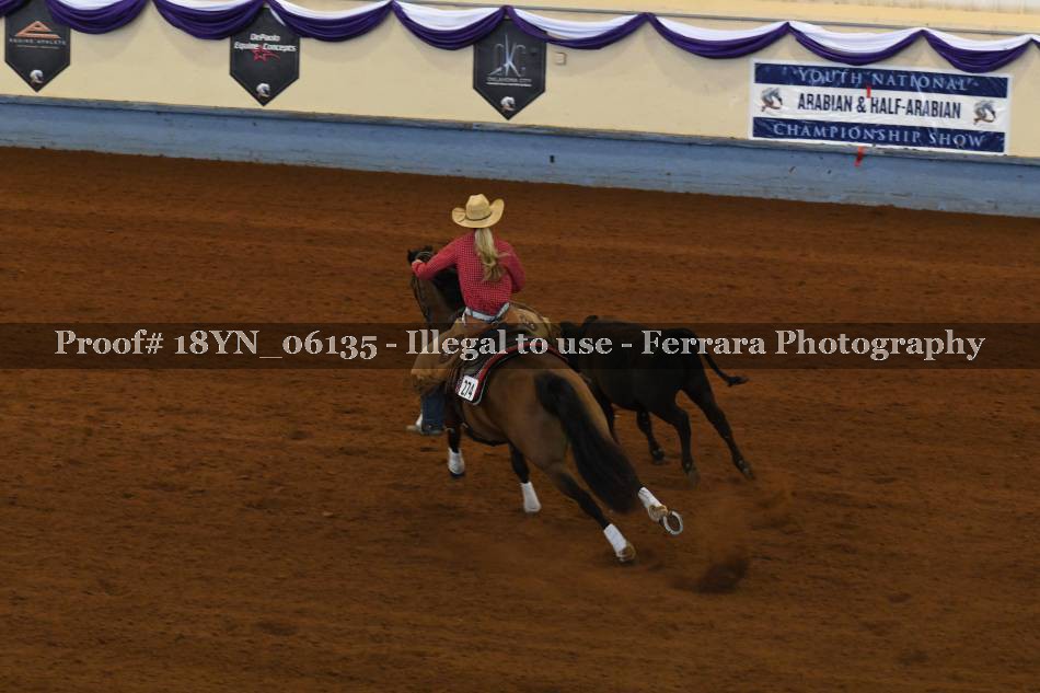 Proof 18YN_06135