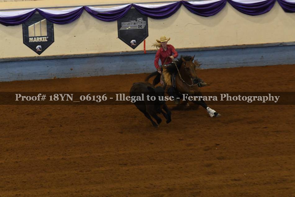 Proof 18YN_06136